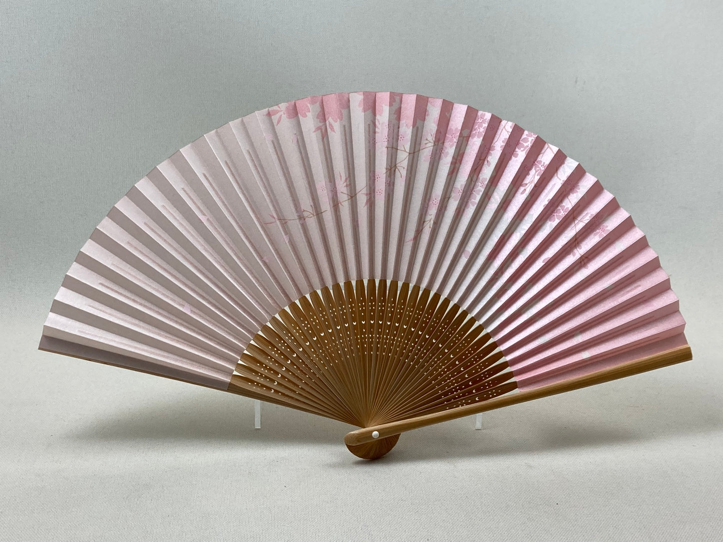 Beautiful pink fan with a picture cherry blossoms